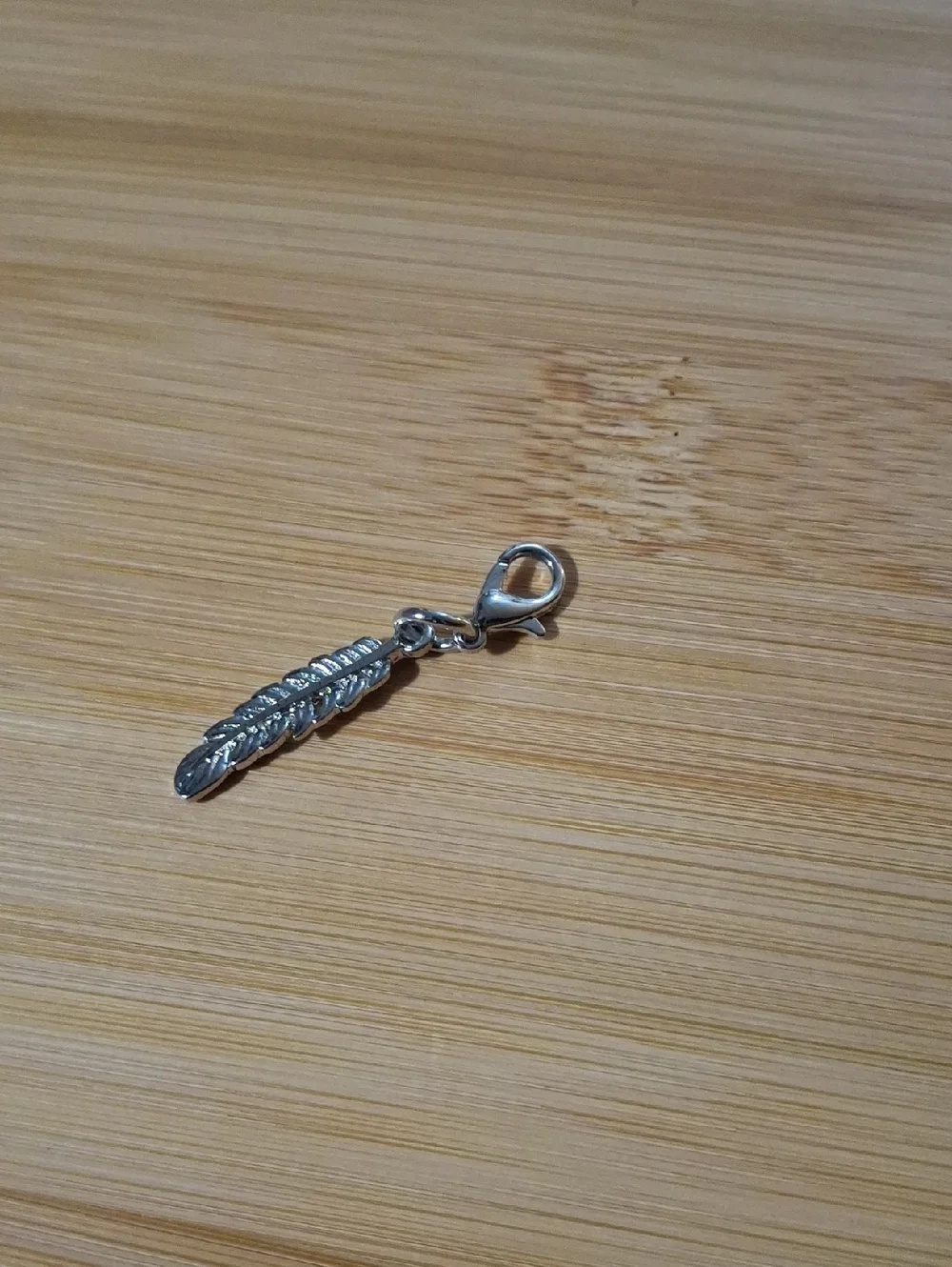 Feather Floating Locket Dangle
